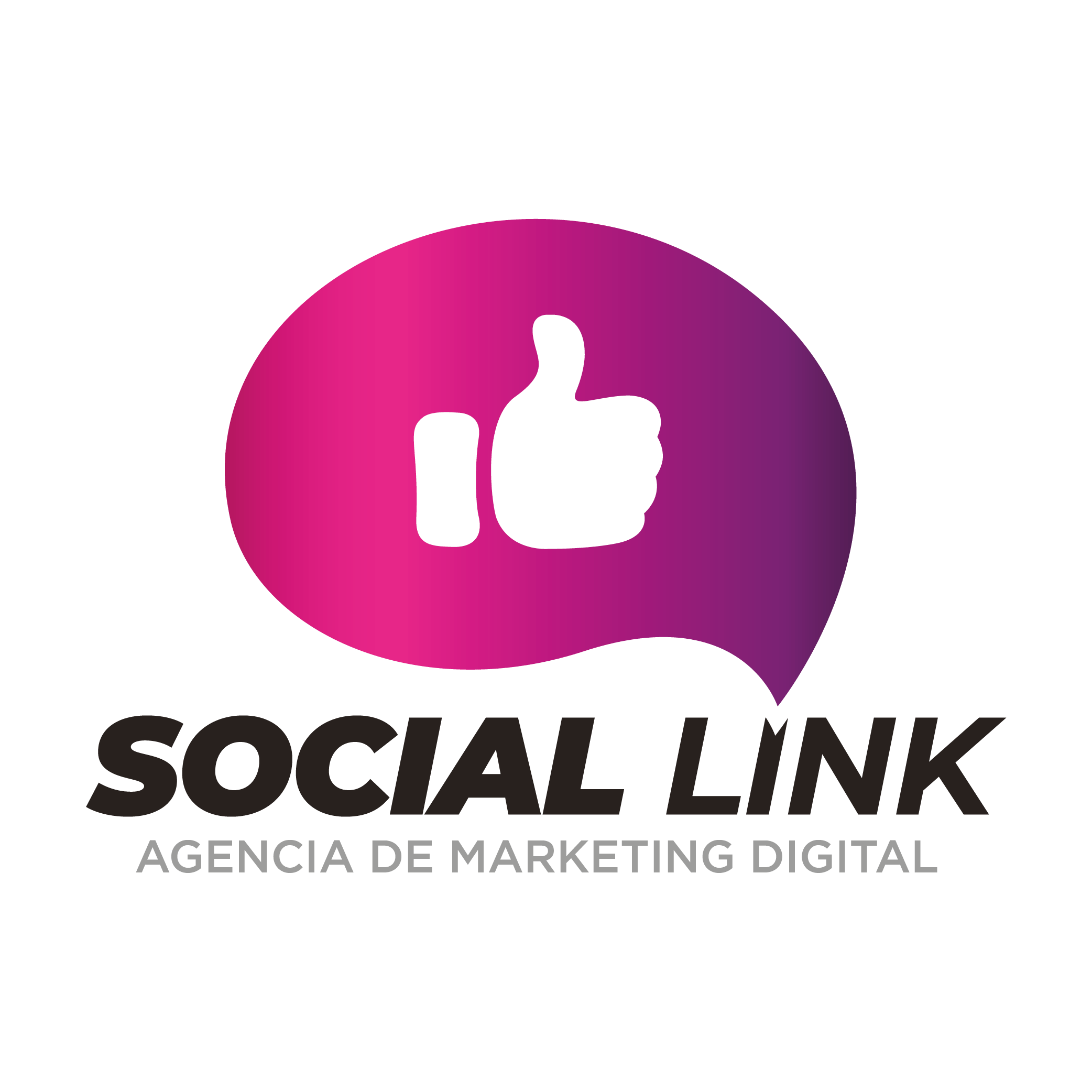 Social Link · Agencia de Marketing Digital